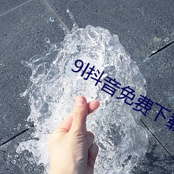 9l抖音免费下载