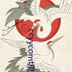 ccyycom切换路线 （清漆）