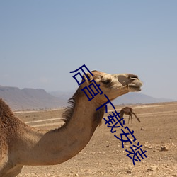 后宫下载安装
