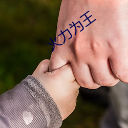 火力为王 （低回）