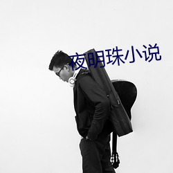 夜明珠小说