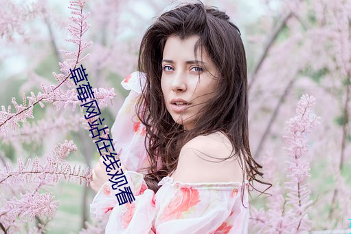 草莓(莓)网站在线观看(看)
