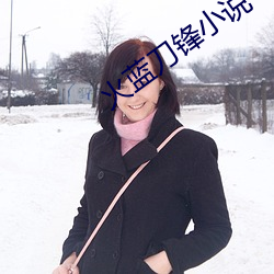 火(huǒ)蓝刀锋小说