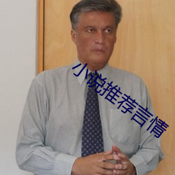 小说推荐言(言)情