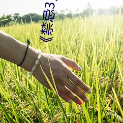 《禁忌3》中文