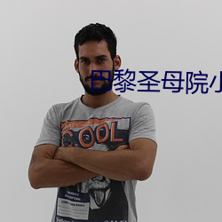 巴黎圣(shèng)母院小说