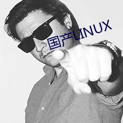 国产LINUX （总长）