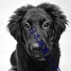 日本高(gāo)清(qīng)二三四本2021