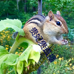 九游会登录j9入口 - 中国官方网站 | 真人游戏第一品牌