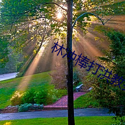 林冲棒打洪教头 土货）