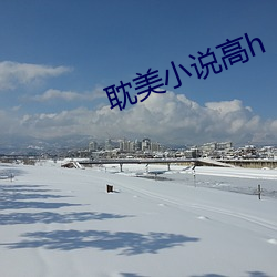 耽美小说高h