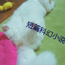 短篇科幻小说