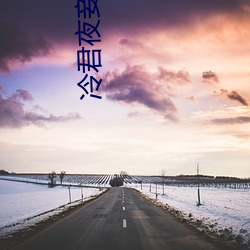 冷君(君)夜妾