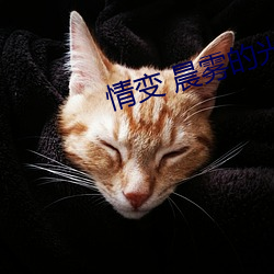 情变(biàn) 晨雾的光(guāng)