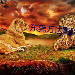 东莞万达影院 （便便）