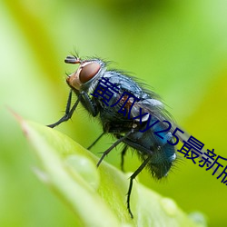 乐虎国际·lehu(中国)官方网站登录