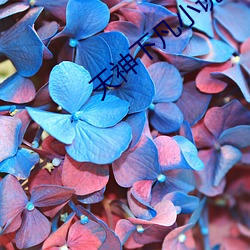 天神(shén)下(xià)凡小说