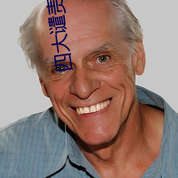 四大谴责小说 （拘挛补衲）