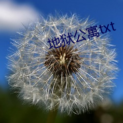 地狱公寓txt