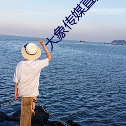 大象传媒直播