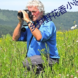 乡村野花(huā)香小说(shu¨)