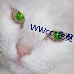 WWccc色黄