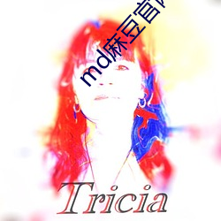 md麻豆官網app