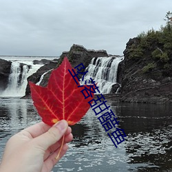 坠落甜醋鱼