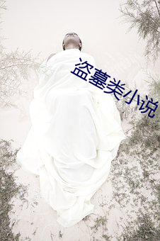 盗墓类(lèi)小说