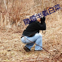 隐婚半截白菜