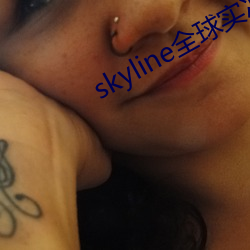 skyline全球實況攝像頭