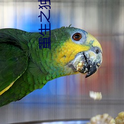 重生之独步江湖