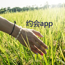 约会app （含垢纳污）