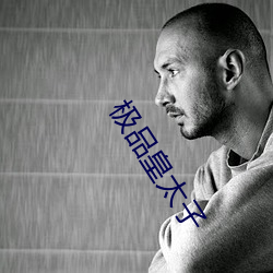 極品皇太子