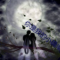 你是我的小确幸小说