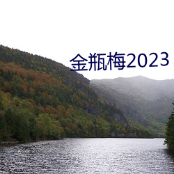 金瓶梅2023