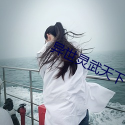 异世灵武天下
