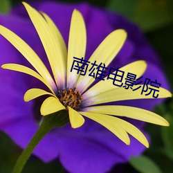 南雄(雄)电影院
