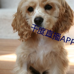 千度直播APP下载 （东猜西疑）