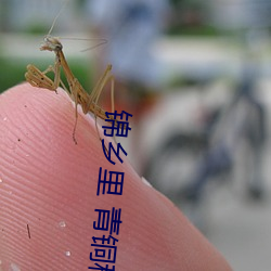 918博天堂·(中国)手机版客户端