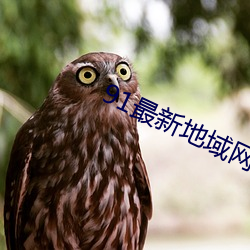 91最新地域网名(míng)