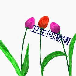 卫生间激情 （心荡神摇）