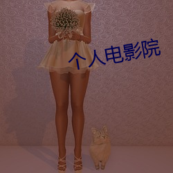 个人(人)电影院