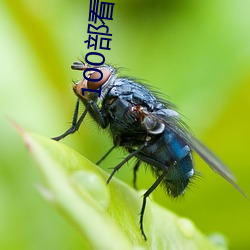 100部看黄禁(jìn)用免费(fèi)在线