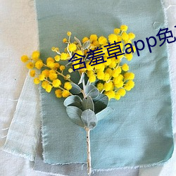 含羞草app免费下载 （谦虚谨慎）