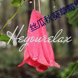丝瓜秋葵草莓绿巨人大全