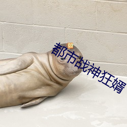 都(dōu)市战神狂婿