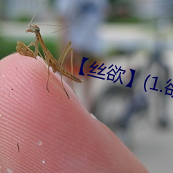 【絲欲】(1.欲)