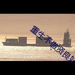 重生不(bù)做贤良妇