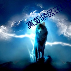 真爱禁区在线观看